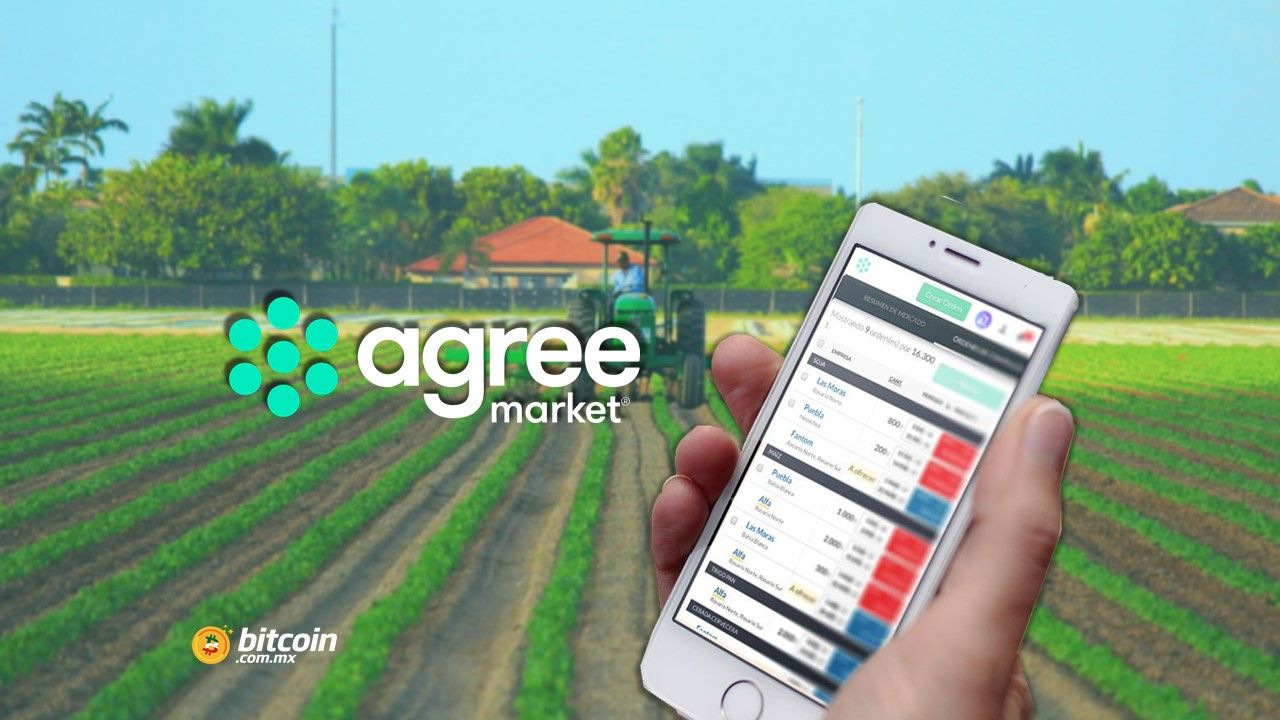 Agree Market: la transparencia a través de blockchain