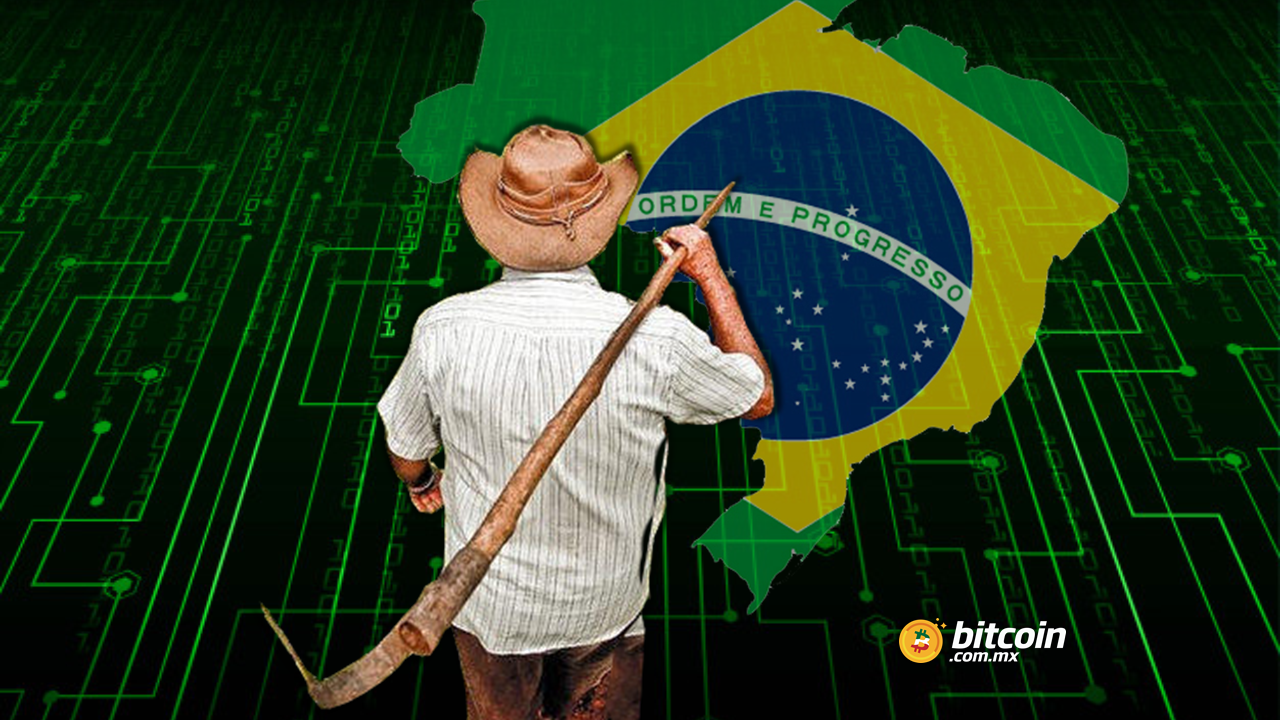 En Brasil, la agricultura trabaja con blockchain