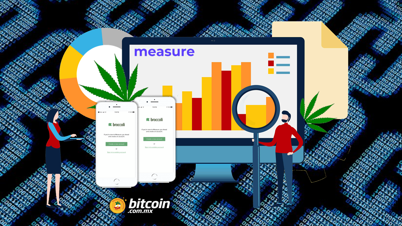 Alianza para desarrollar investigación de cannabis basada en Blockchain