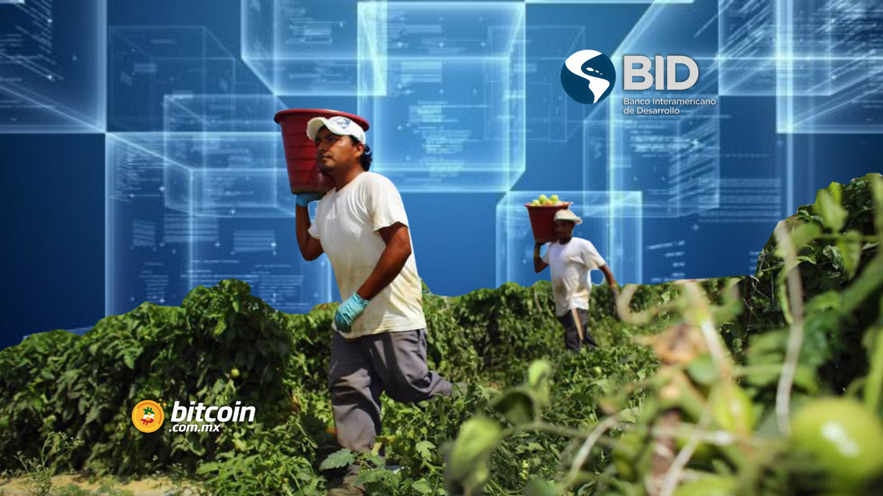 EthicHub: Inclusión financiera de agricultores mexicanos con blockchain