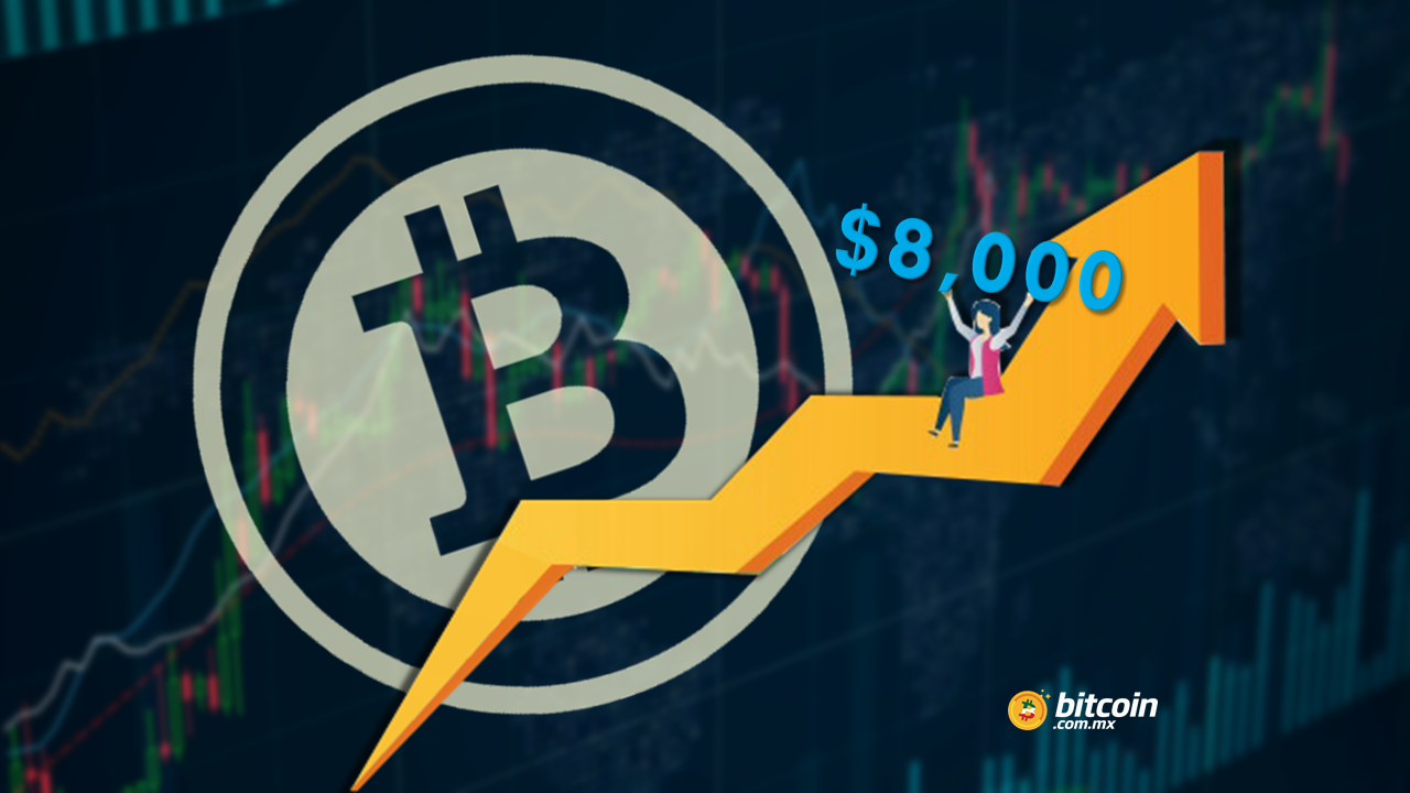 Bitcoin supera los 8 mil dólares por unidad