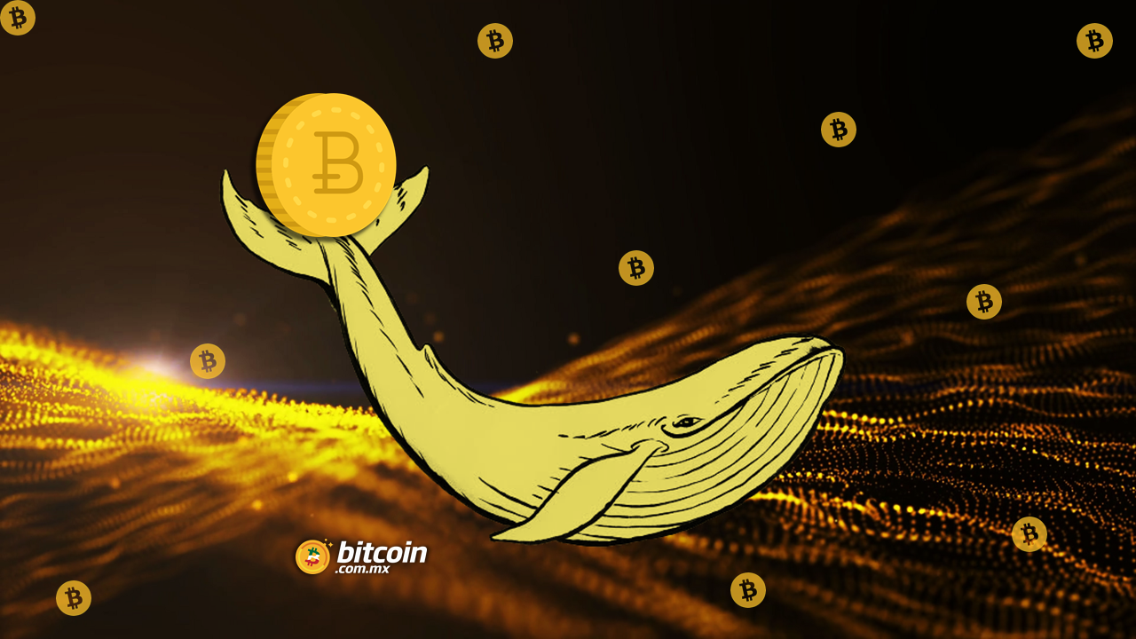 Ballena mueve $1,100 millones USD en Bitcoin por solo 83 USD