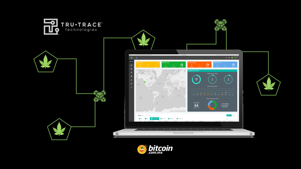 StrainSecure: plataforma blockchain para el rastreo de cannabis