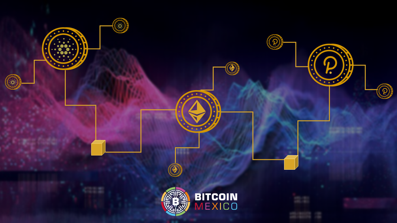 Gana dinero con las 3 mejores Staking coins del 2021