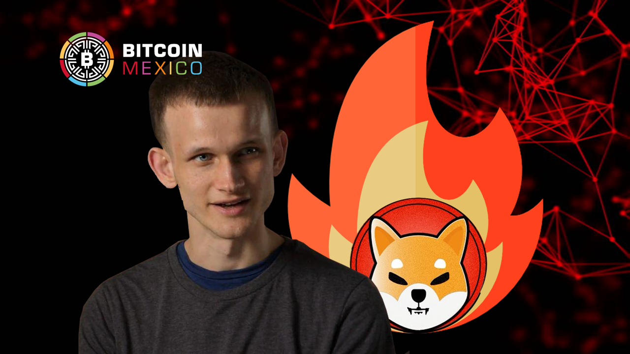 Vitalik Buterin quema el 40% de los tokens Shiba Inu