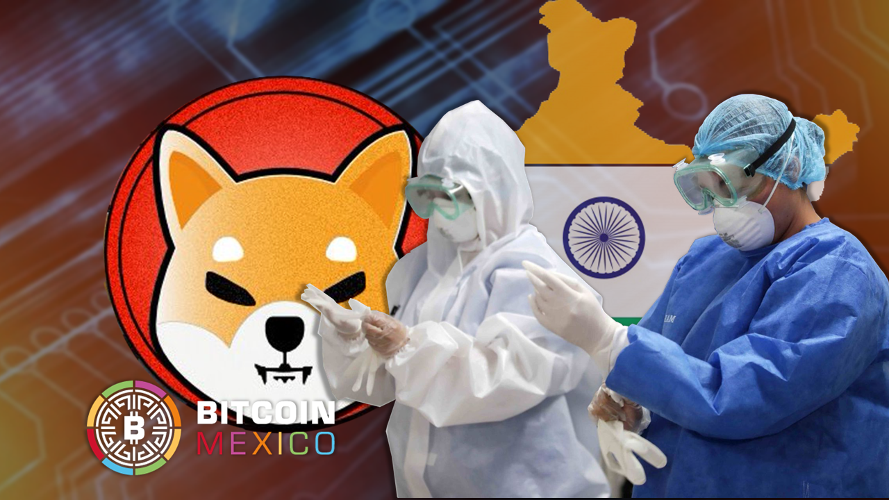 Vitalik Buterin donó su reserva de Shiba a la India y su precio cae