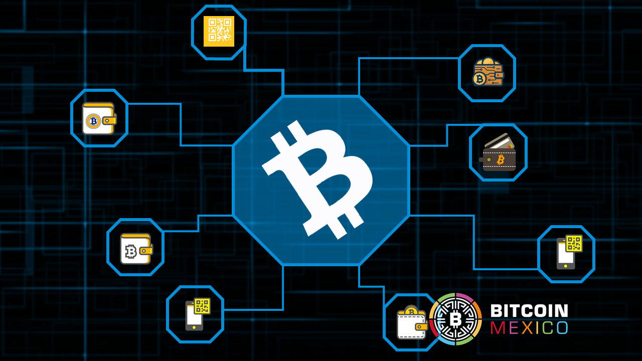 Las 10 mejores billeteras para almacenar tus Bitcoins
