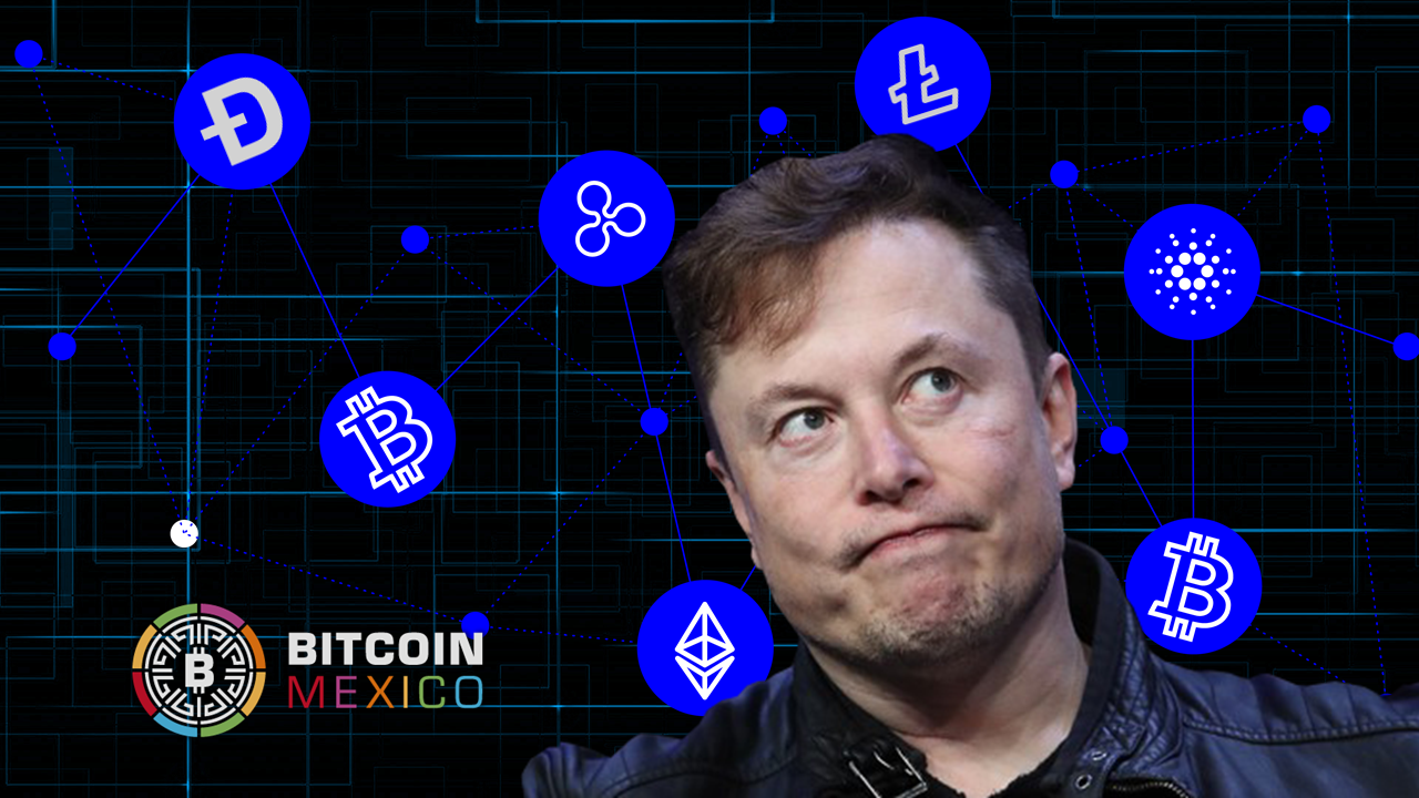 ¿Elon Musk perdió su poder de controlar el mercado crypto?