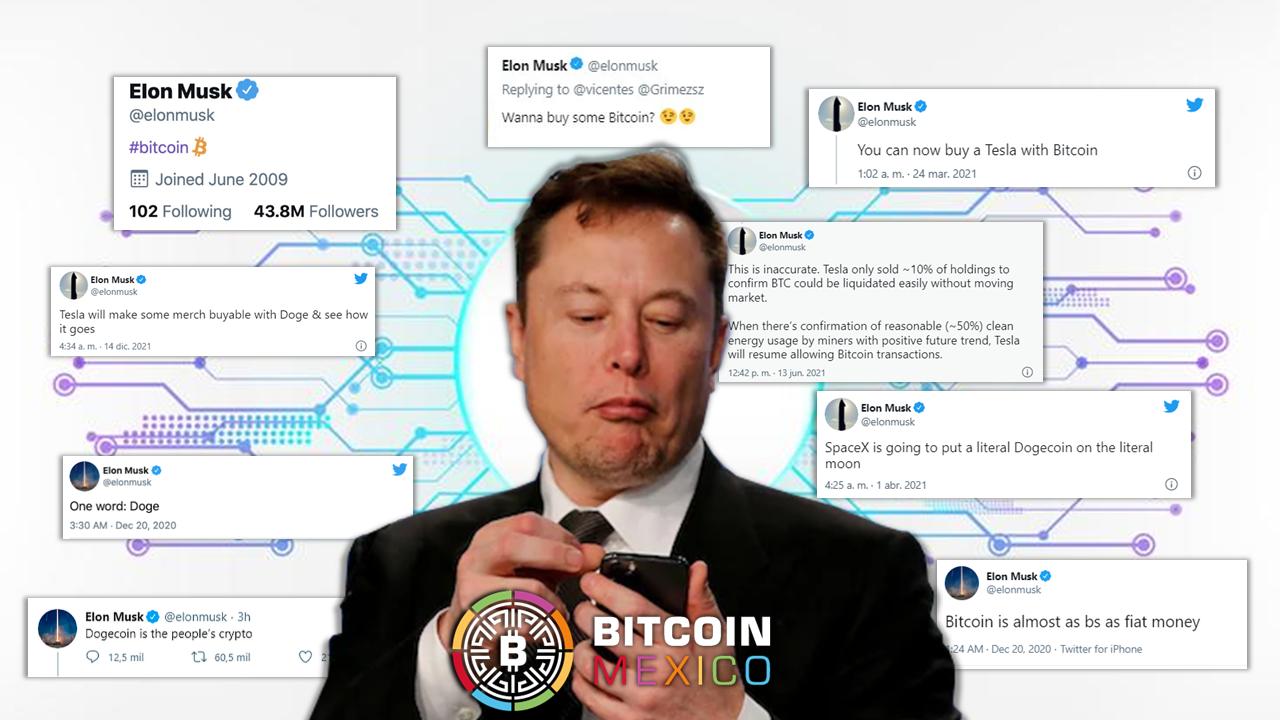 ¿Cómo han repercutido los tweets de Elon Musk en el mercado crypto?
