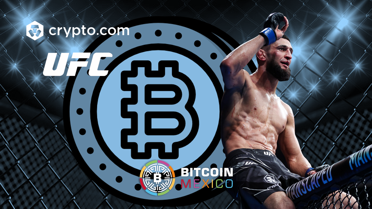 bitcoin betting ufc