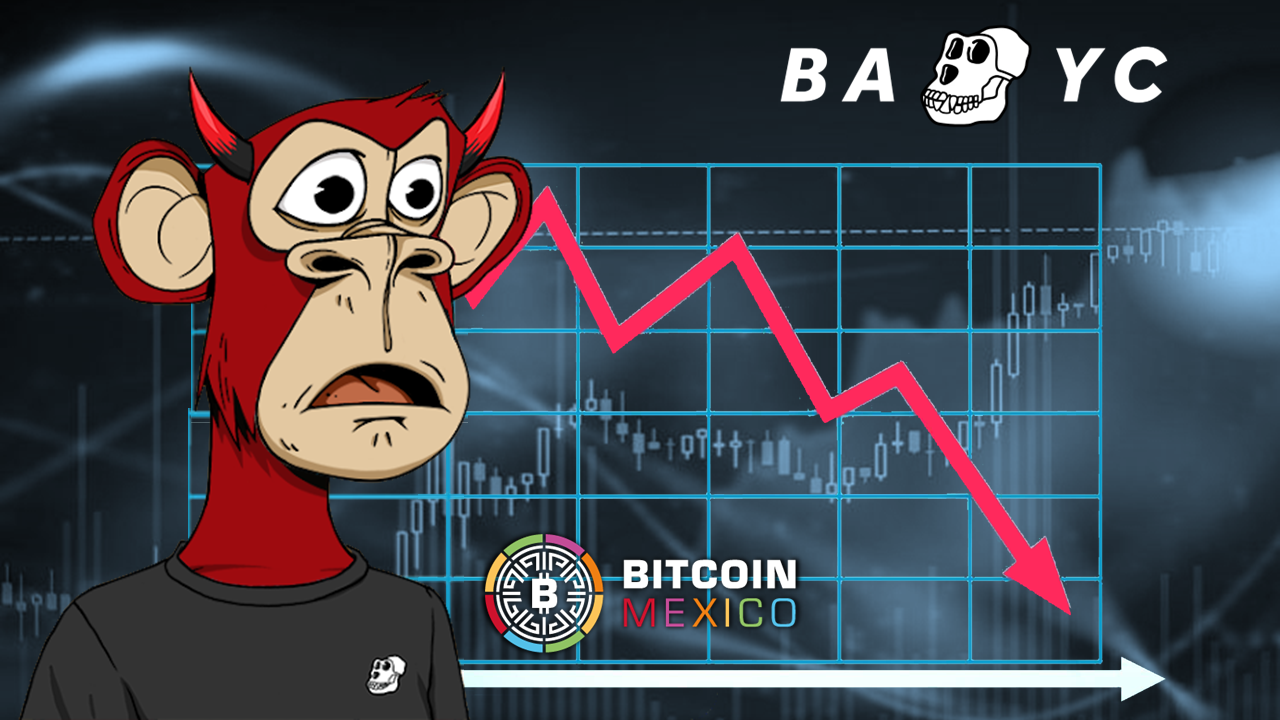 Bored Ape Yacht Club (BAYC) perjudicados por crisis del mercado cripto