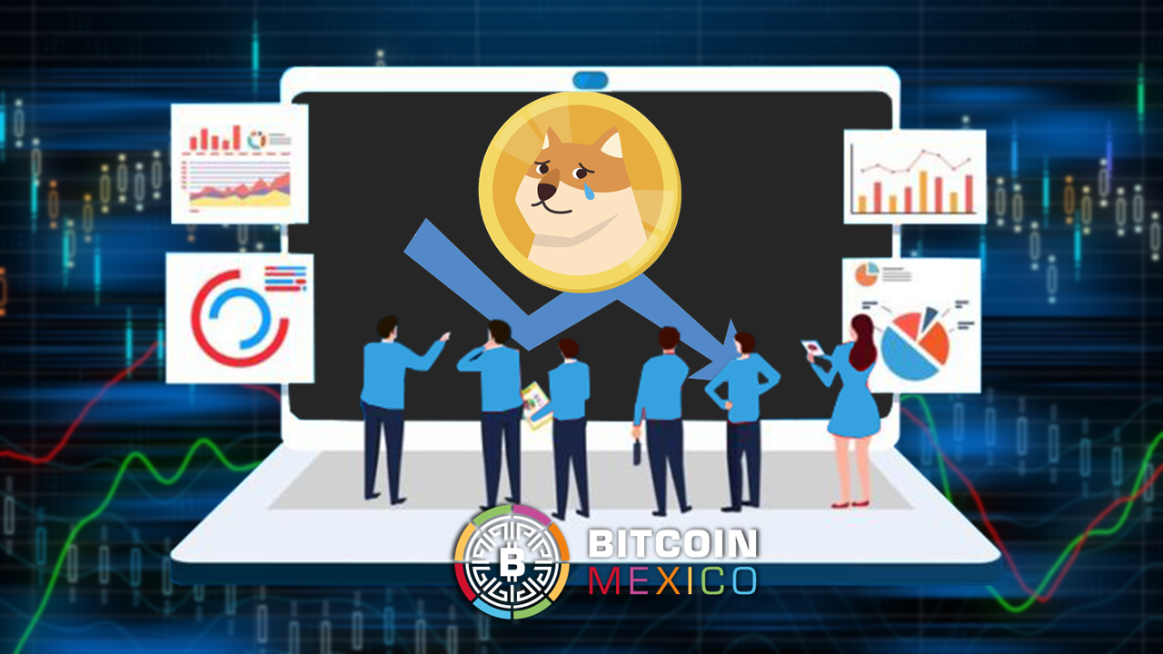 ¿Qué pasará con Dogecoin después de perder 40 mil holders?