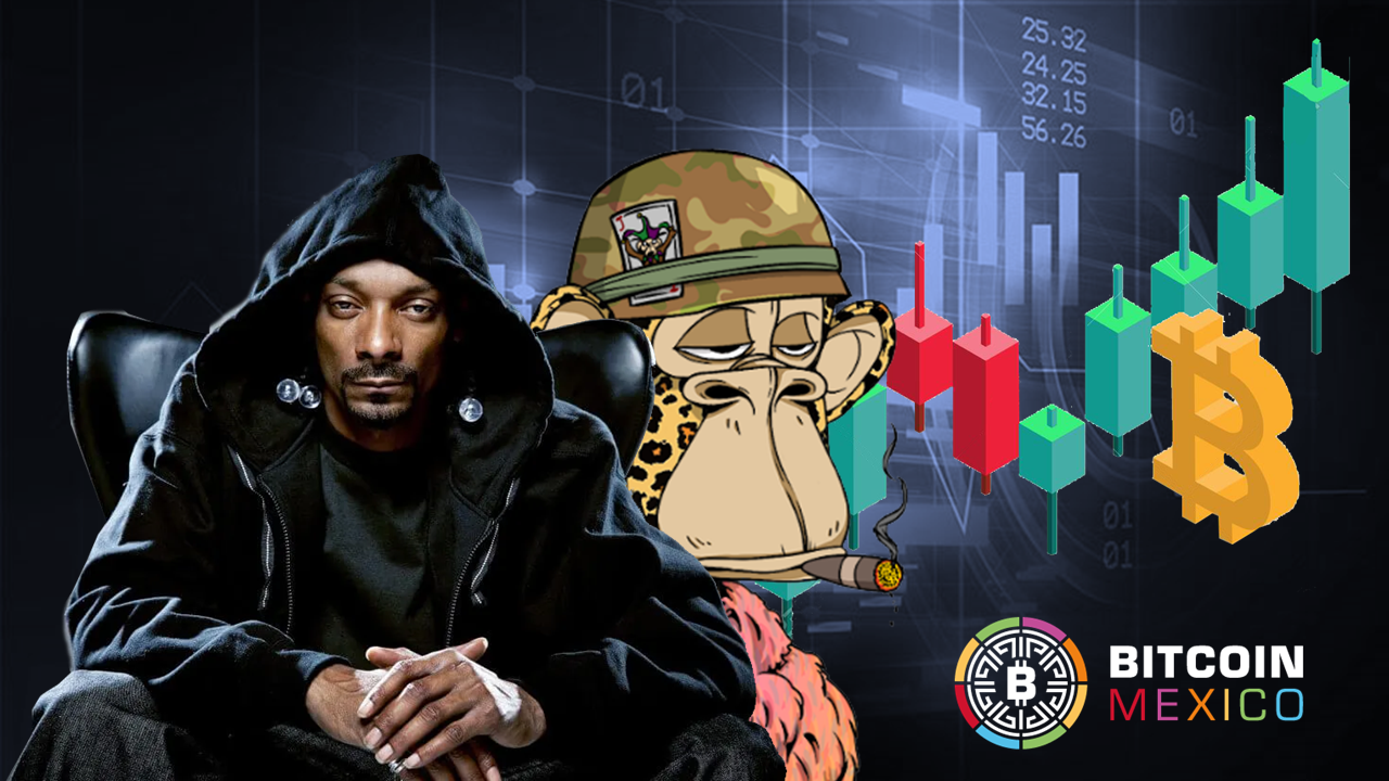 Snoop Dogg: “la industria cripto se levantará de nuevo”