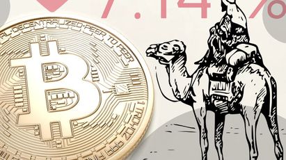El Precio De Bitcoin Cae En Picada y Silk Road Wallet Transfiere Una Fortuna.