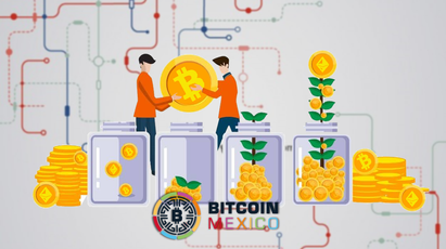 Los 6 puntos clave que debes conocer antes de invertir en un fondo cripto