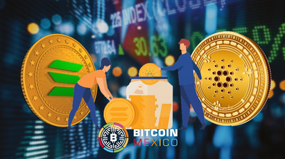 Cardano y Solana, las nuevas preferidas de las instituciones