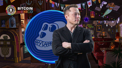 ApeCoin , ¿el nuevo DOGE de Musk o un experimento?