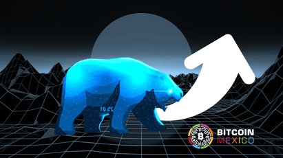 ¿Mercado bajista será la base de la construcción del metaverso?