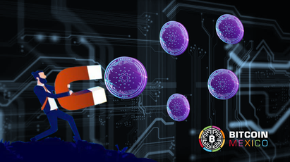 Pese al mercado bajista, Cardano cuenta con apoyo de sus hodlers