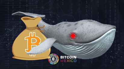 Ballenas Bitcoin rompen nuevo récord tras vender 280K BTC en 30 días