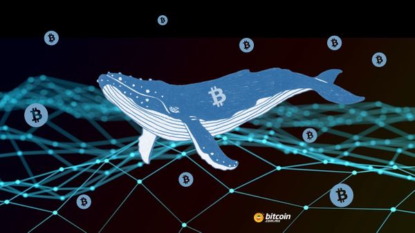 Ballena de bitcoin transfiere $580 millones de USD en BTC y paga solo 400 USD