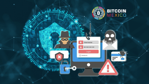 Evita caer en estafas y perder tu cripto con una hardware wallet