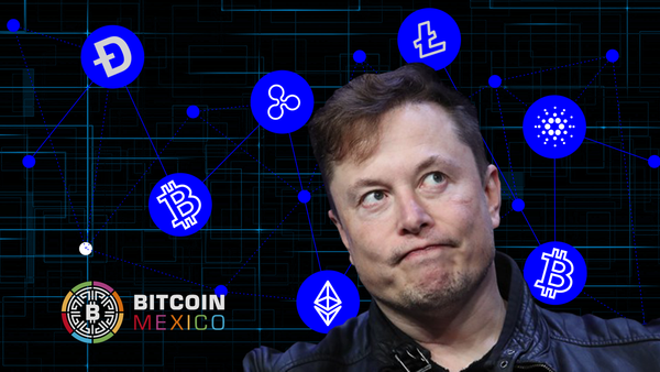 ¿Elon Musk perdió su poder de controlar el mercado crypto?