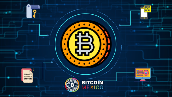 ¿Qué es una crypto wallet? Conoce las diferencias entre ellas