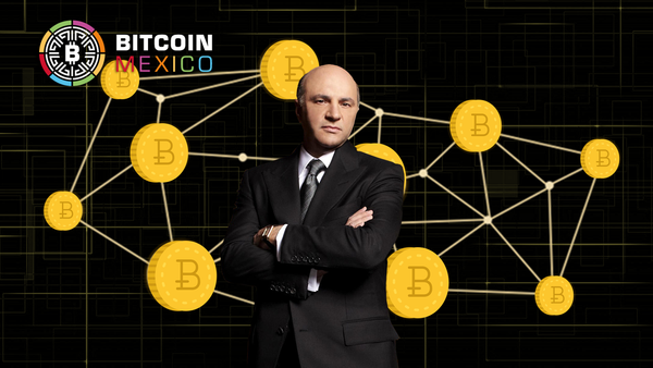 Kevin O'Leary aumentará su patrimonio de criptomonedas hasta un 7%