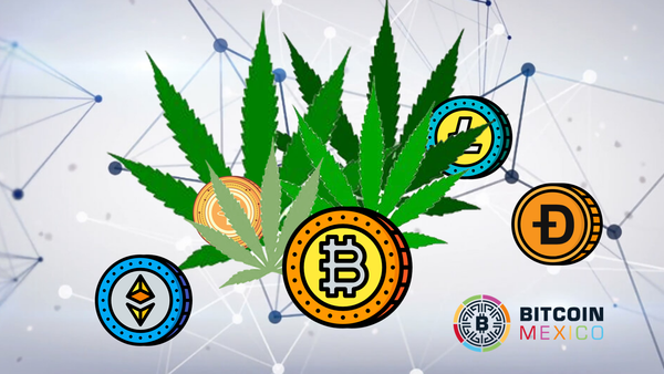 La industria de la marihuana y las criptomonedas: ¿Un buen matrimonio?