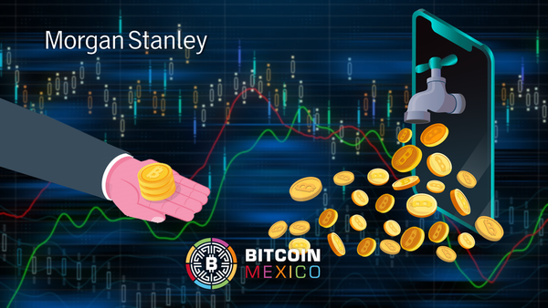 Analista de Morgan Stanley: “la liquidez de la economía cripto mejoró”