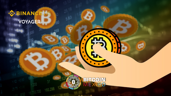 Binance US adquirirá los activos de Voyager Digital con valor de $1 MMD
