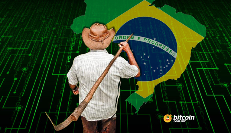 agricultura bitcoin